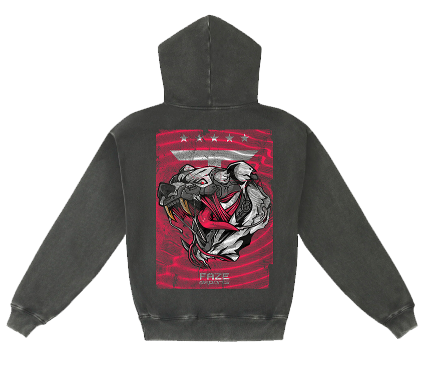 Cybear Hoodie (Vintage Black)