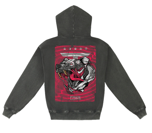 Cybear Hoodie (Vintage Black)