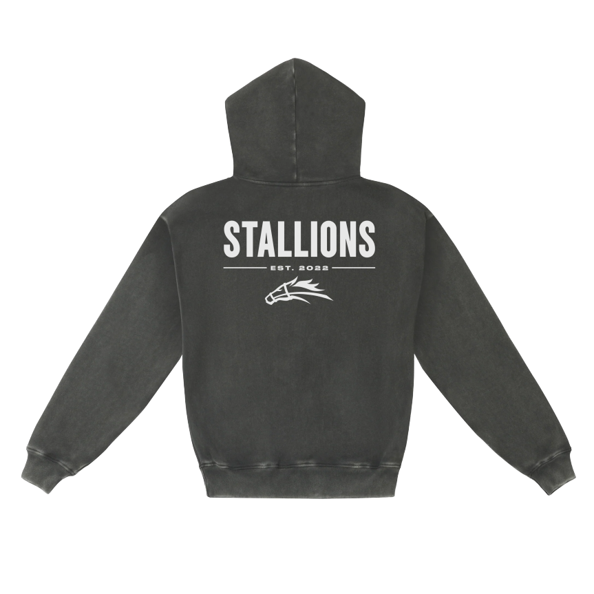 Stallions Hoodie (Vintage Black)