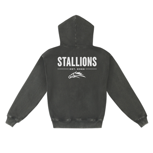 Stallions Hoodie (Vintage Black)